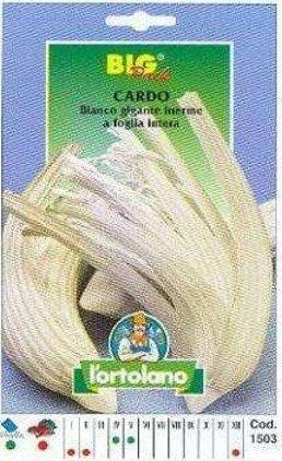 Cardo Gigante Inerme A Foglia Intera Big Pack - Busta Sementi