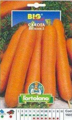 Carota Berlicum 2 Big Pack - Busta Sementi