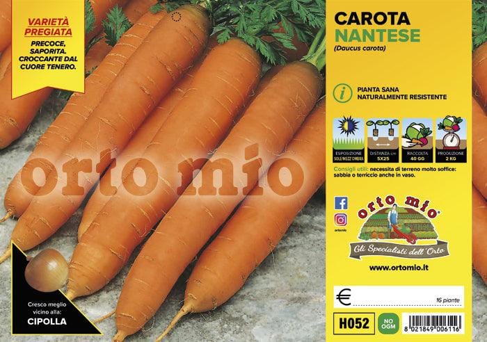 Carota nantese Soprano F1-Bolero F1 - 16 piante - Orto Mio