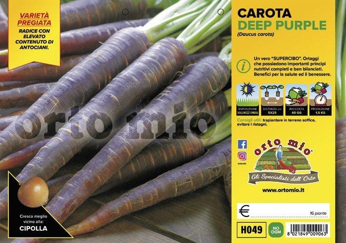 Carota viola Deep Purple F1 - 16 piante - Orto Mio