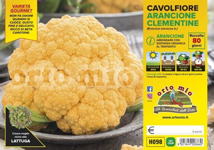 Cavolfiore arancione Clementine F1 - 6 piante - Orto Mio