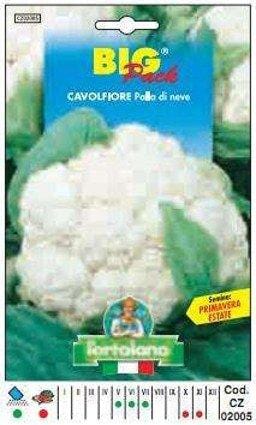 Cavolfiore Palla di Neve - Big Pack - L'Ortolano