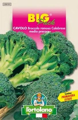 Cavolo Broccolo ramoso Calabrese medio precoce Big Pack - L'ortolano
