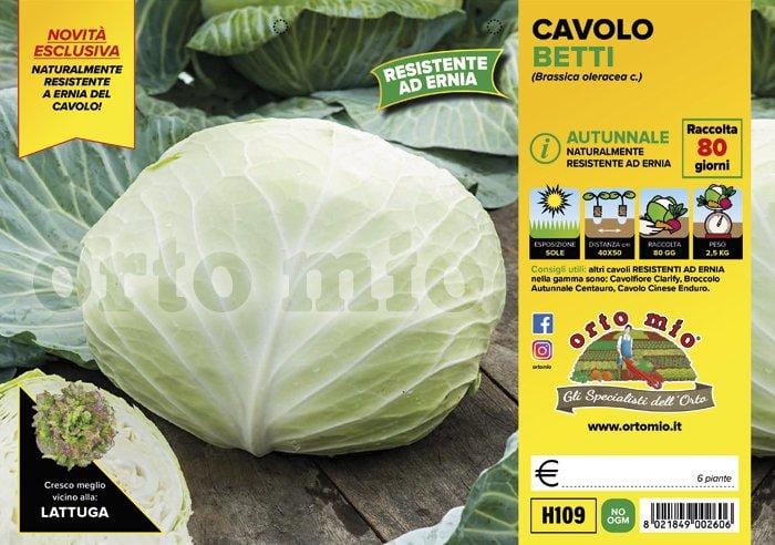 Cavolo cappuccio autunnale resistente ernia Betti F1 - 6 piante - Orto Mio