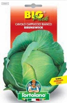 Cavolo Cappuccio Bianco Brunswick - Big Pack - L'ortolano