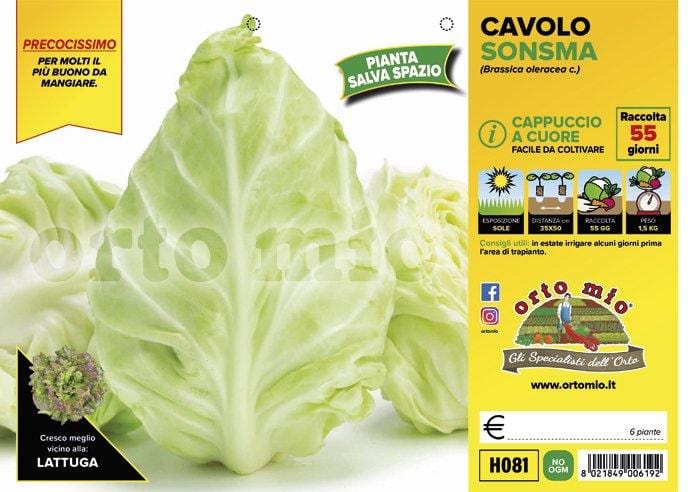 Cavolo cappuccio cuore verde Sonsma F1 - 6 piante - Orto Mio