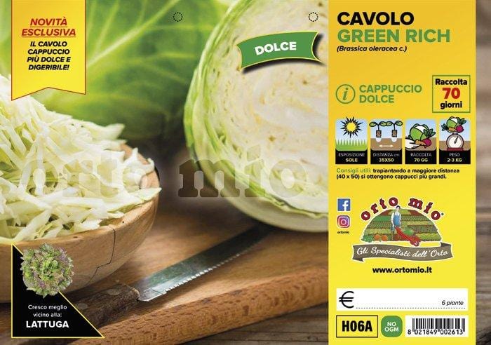 Cavolo Cappuccio dolce Green Rich F1 - 6 piante - Orto Mio