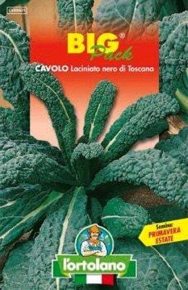 Cavolo Laciniato Nero di Toscana Big Pack - L'ortolano