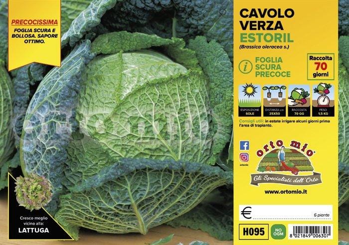 Cavolo verza scura precoce Estoril F1 - 6 piante - Orto Mio