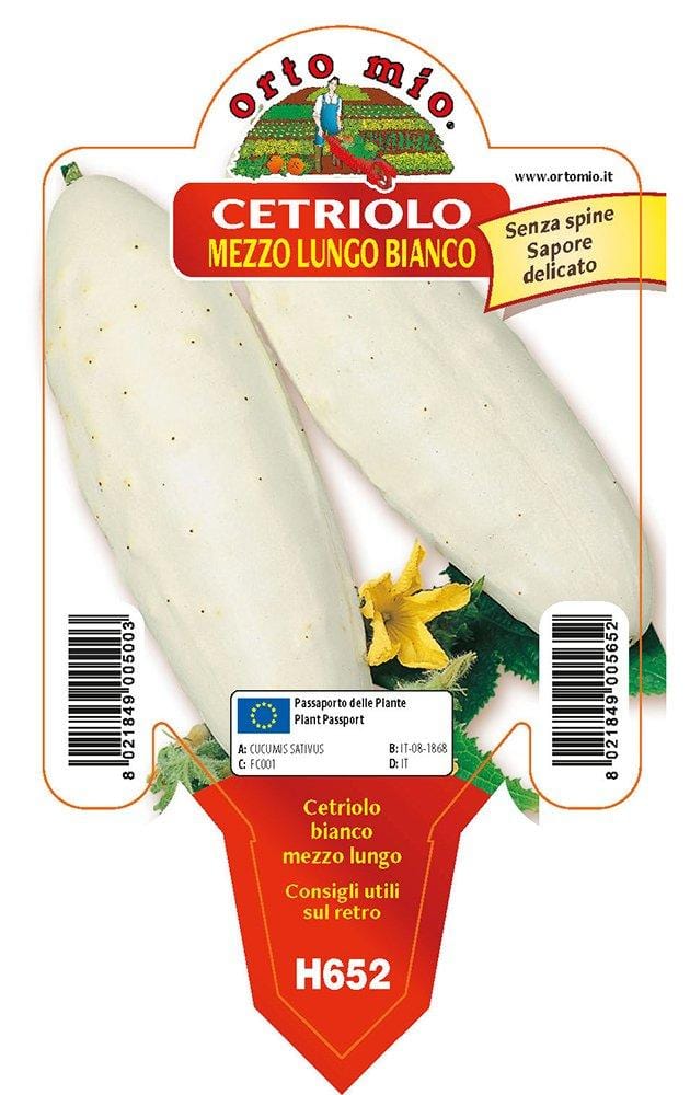 Cetriolo bianco mezzo lungo White Wonder F1 - 1 pianta v.10 - Orto Mio