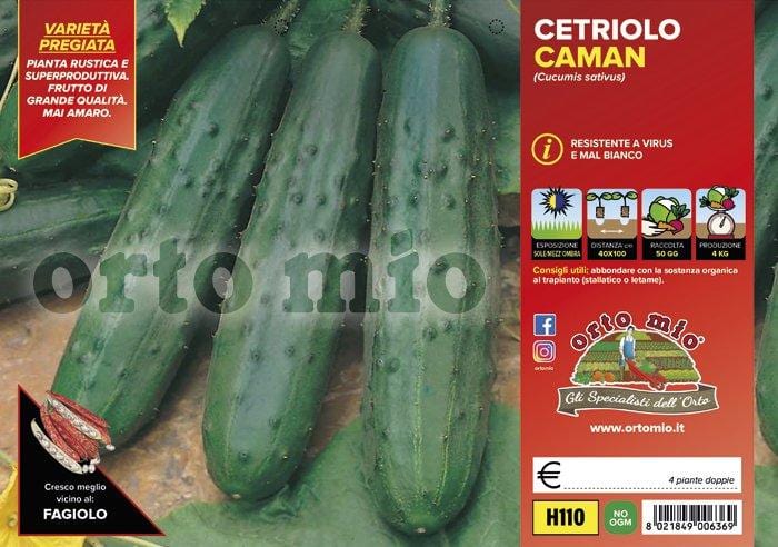 Cetriolo classico Caman F1 - 4 piante - Orto Mio