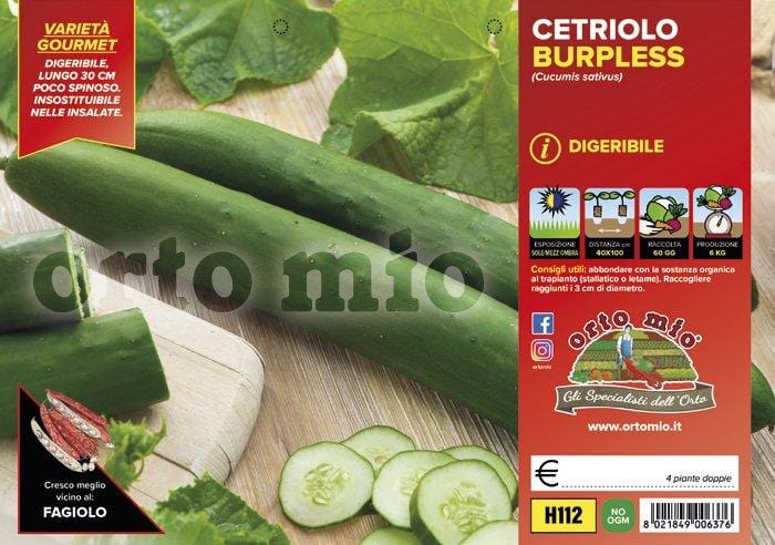 Cetriolo lungo digeribile Burpless F1 - 4 piante - Orto Mio