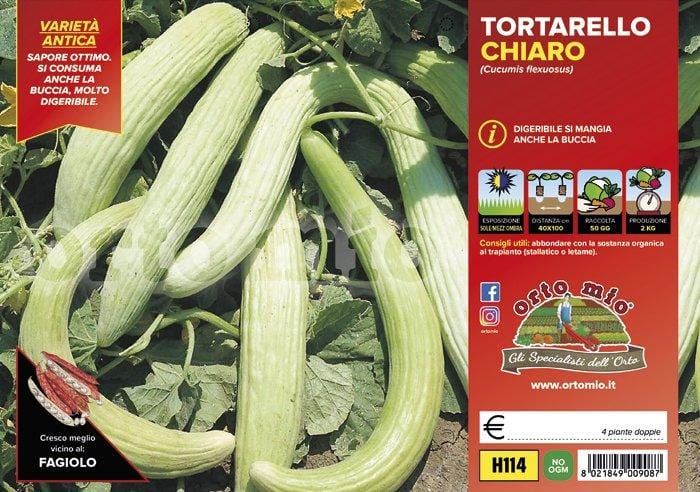 Cetriolo Tortarello chiaro - 4 piante - Orto Mio