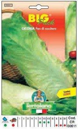 Cicoria Pan Di Zucchero Big Pack - Busta Sementi Seme