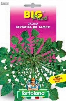 Cicoria Selvatica da Campo - Big Pack - L'Ortolano