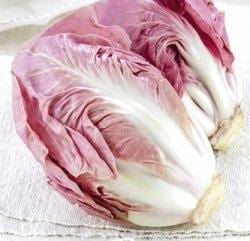 Cicoria Verona Rosa - 5000 pillole - Semencoop L'Ortolano