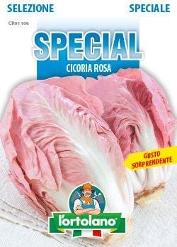 Cicoria Verona Rosa Special F1 - L'Ortolano