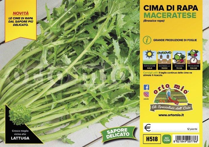 Cima di Rapa Maceratese - 12 piante - Orto Mio