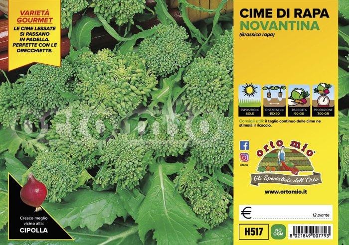 Cima di rapa novantina - 12 piante - Orto Mio