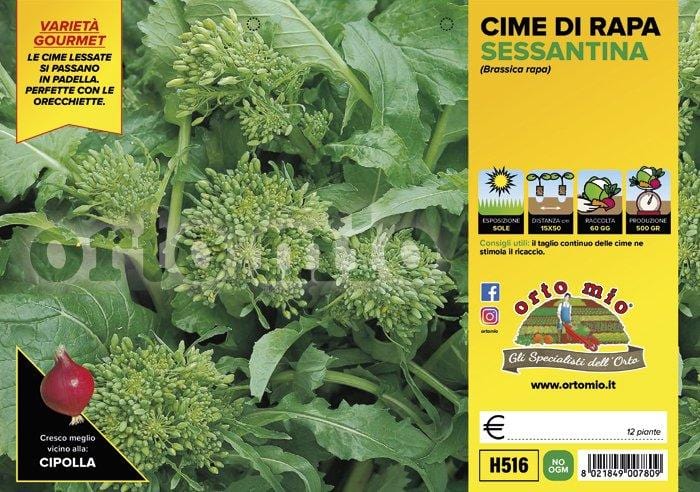 Cima di rapa sessantina - 12 piante - Orto Mio