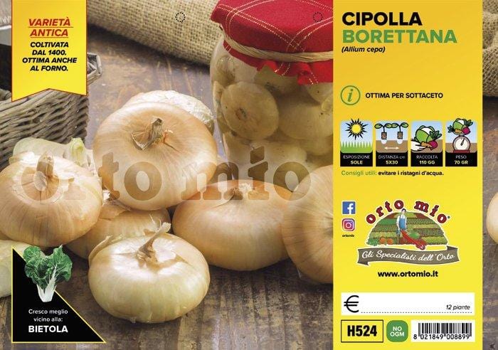 Cipolla Gialla Borettana da Sottaceto - 12 piante - Orto Mio