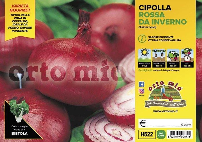 Cipolla rossa da inverno di Certaldo - 12 piante - Orto Mio