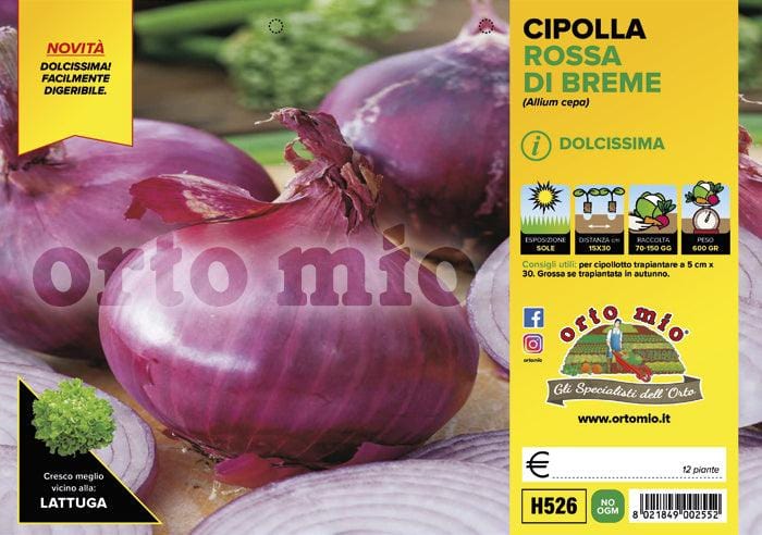 Cipolla rossa di Breme - 12 piante - Orto Mio