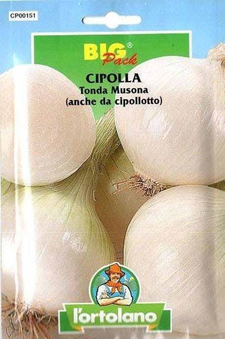 Cipolla Tonda Musona - Big Pack - L'Ortolano