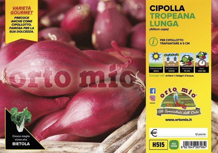 Cipolla tropeana rossa lunga - 12 piante - Orto Mio