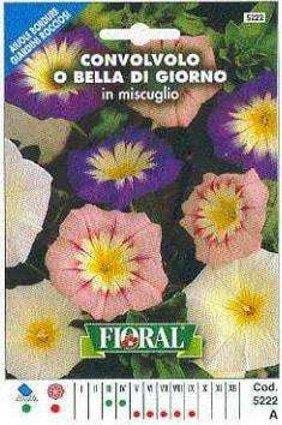 Convolvolo O Bella Di Giorno In Miscuglio - Busta Sementi