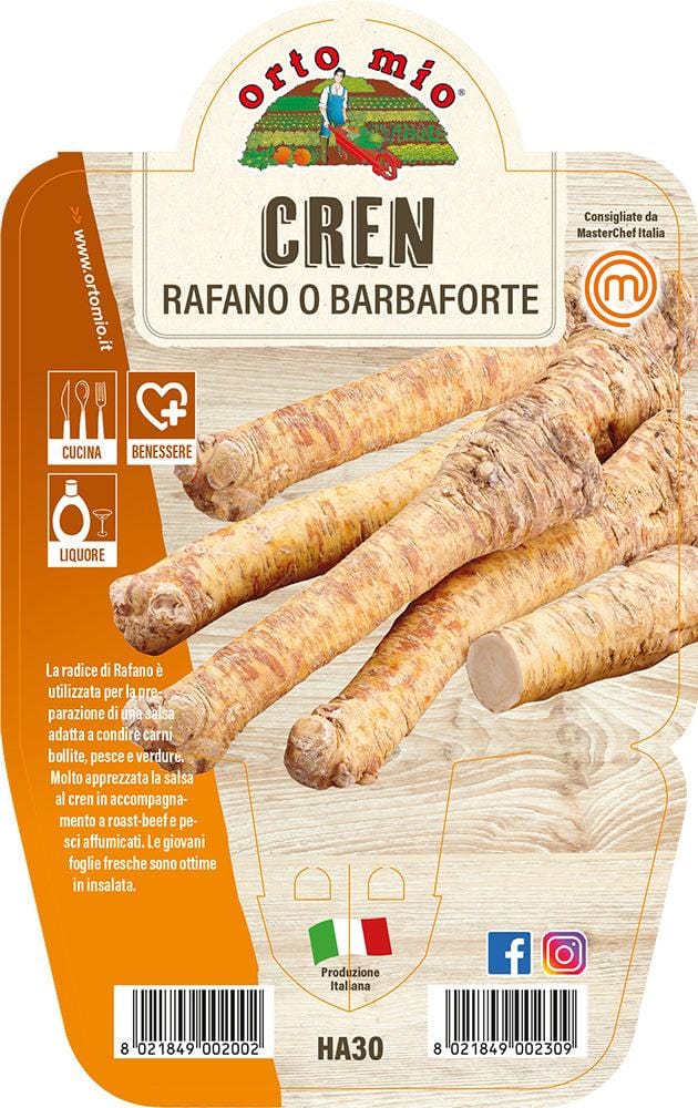 Cren Rafano o Barbaforte  - 1 pianta v.14 cm - Orto Mio