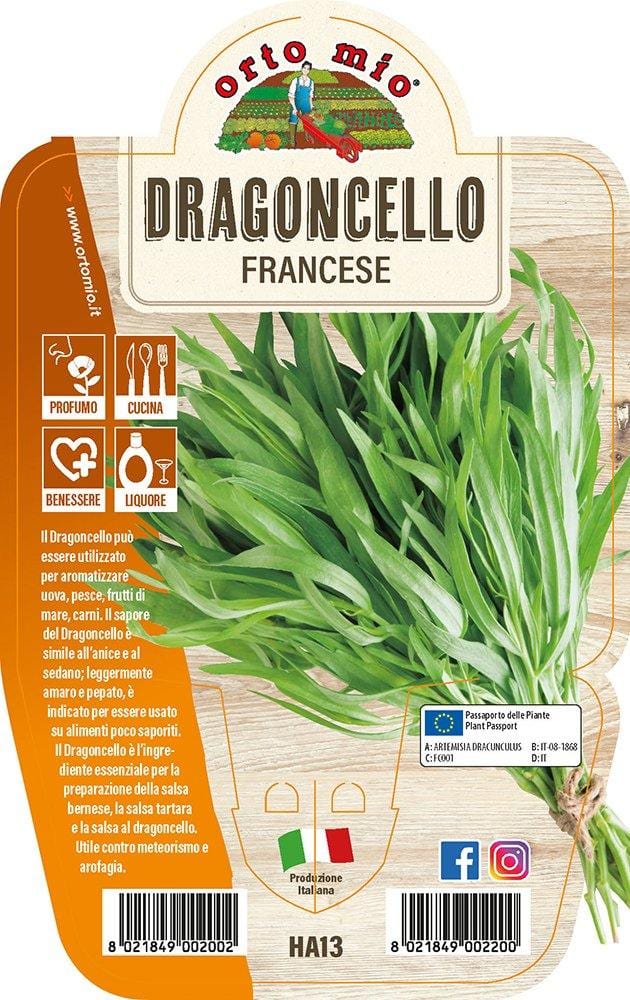 Dragoncello - 1 pianta v.14 cm - Orto Mio