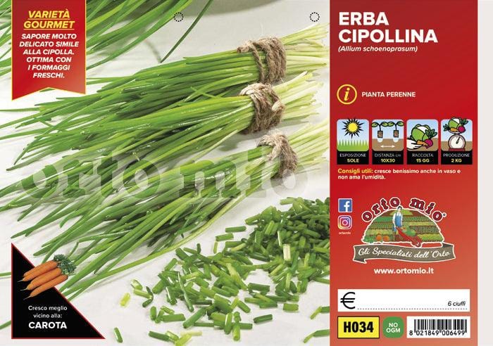Erba cipollina - 6 ciuffi - Orto Mio
