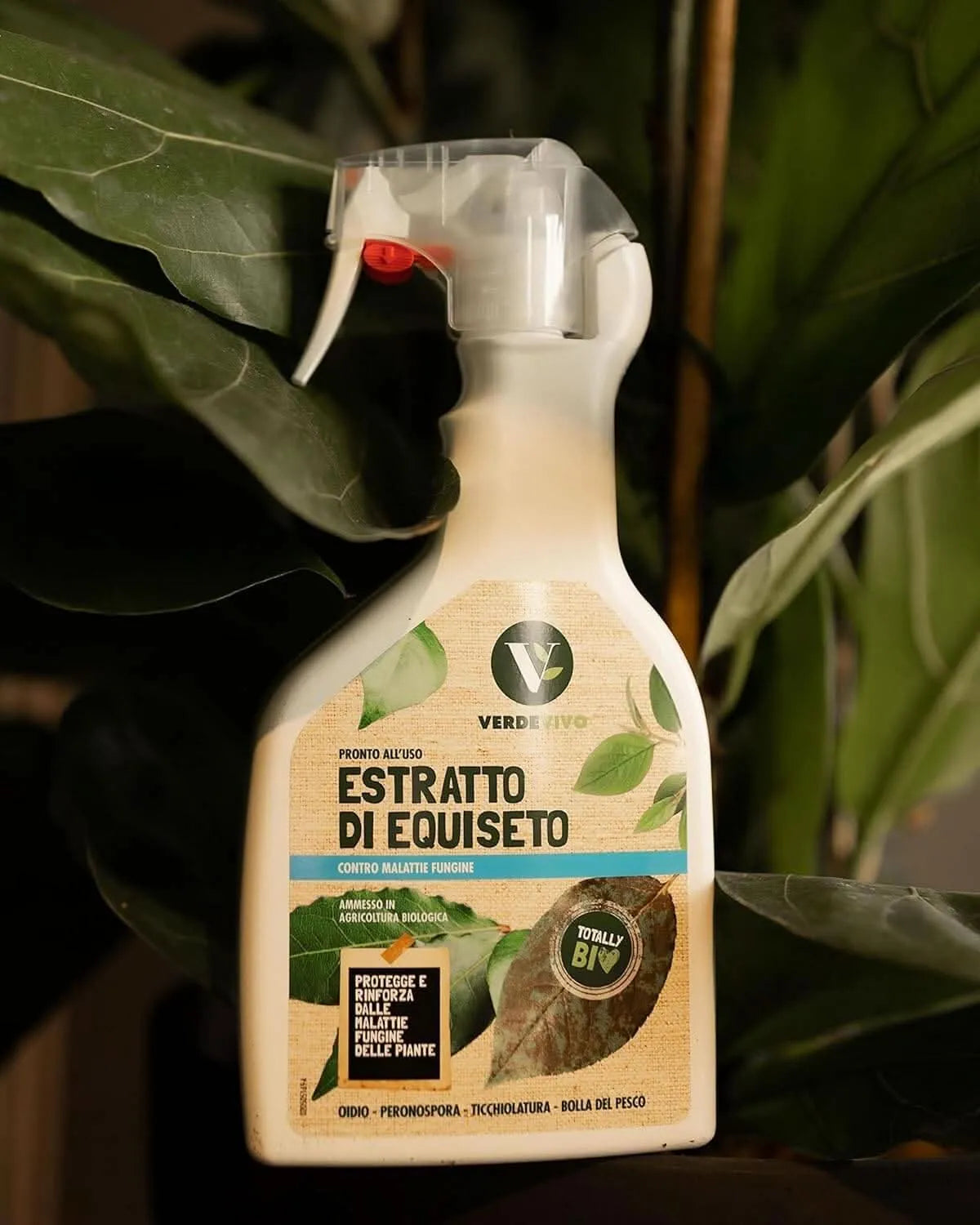 ESTRATTO DI EQUISETO flacone 500 ml x 12