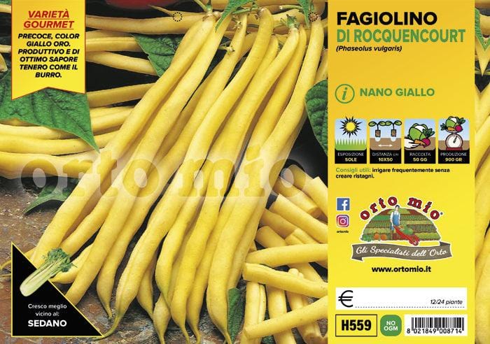 Fagiolino nano giallo Major - 12 buche 24 piante - Orto Mio