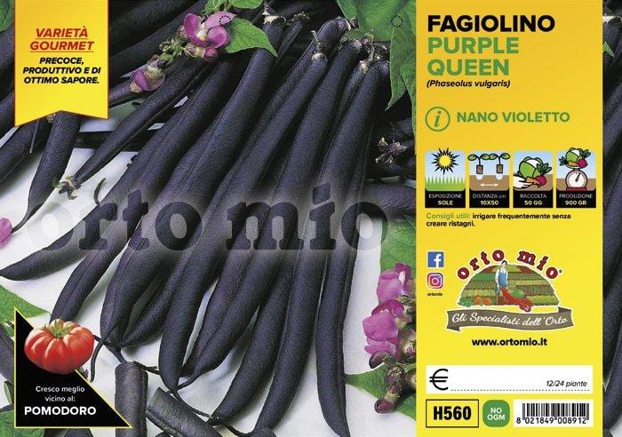 Fagiolino nano viola Purple Queen - vaschetta 12 buche - Orto Mio