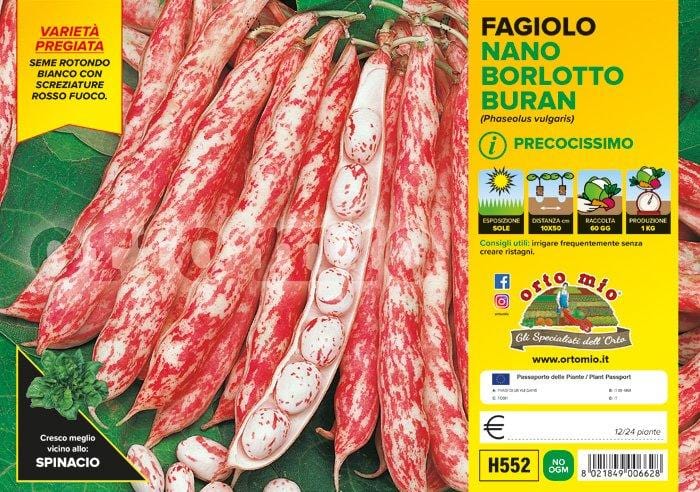 Fagiolo nano Borlotto lingua di fuoco Buran - 12 buche 24 piante - Orto Mio