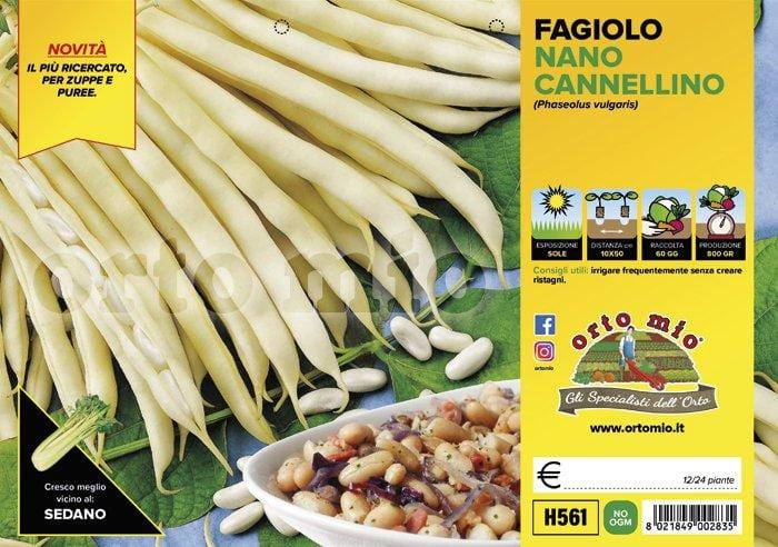 Fagiolo Nano Cannellino Montalbano - Vaschetta 12 piante - Orto Mio