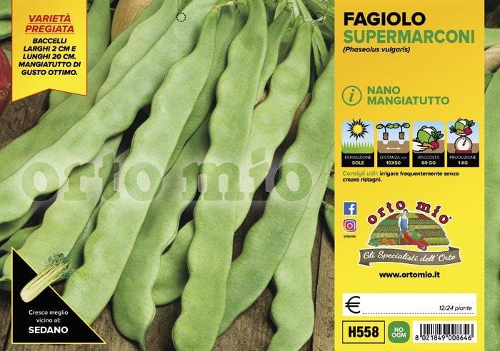 Fagiolo nano Supermarconi Minosse - vaschetta 12 buche 24 piante - Orto Mio