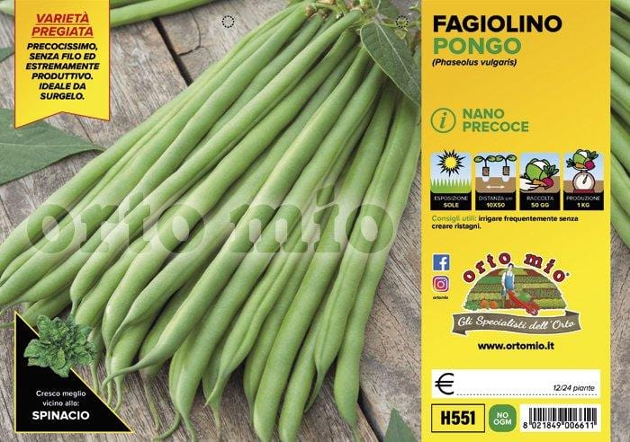 Fagiolo Nano Verde Pongo F1 - vaschetta 12 buche 24 piante - Orto Mio