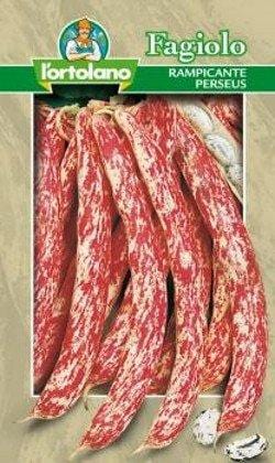 Fagiolo Rampicante Perseus semi - 250 gr - L'Ortolano