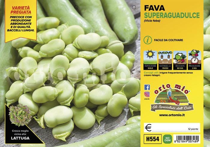 Fava Superaguadulce - 12 piante - Orto Mio