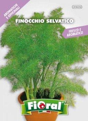 Finocchio Selvatico - Semi di aromatica in Bustina - Fioral