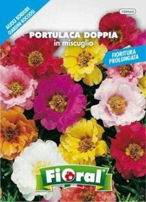 Fioral PORTULACA DOPPIA IN MISCUGLIO - Sementi in busta