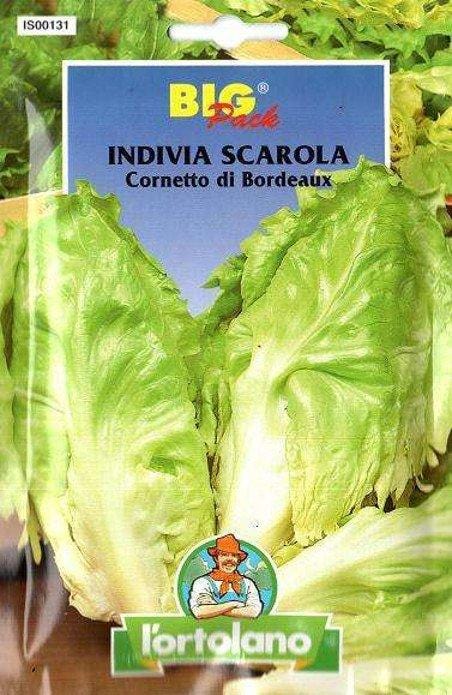 Indivia Scarola Cornetto di Bordeaux - Big Pack - L'ortolano