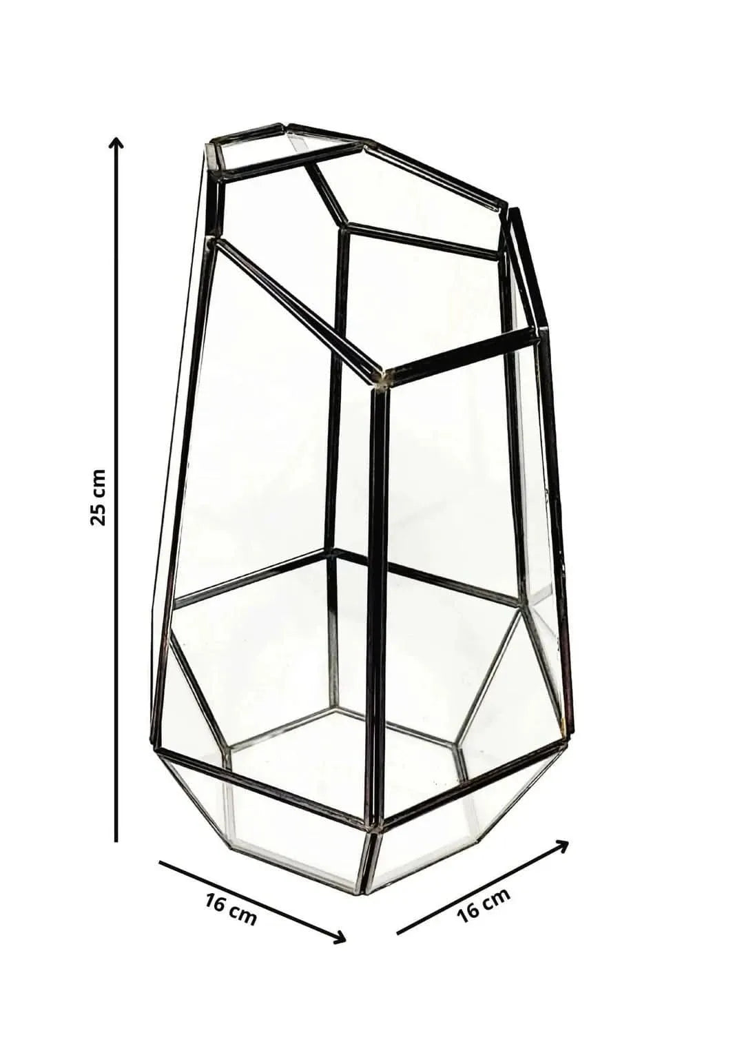 Kit Fai Da Te Terrarium Completo Geometrico  Florine