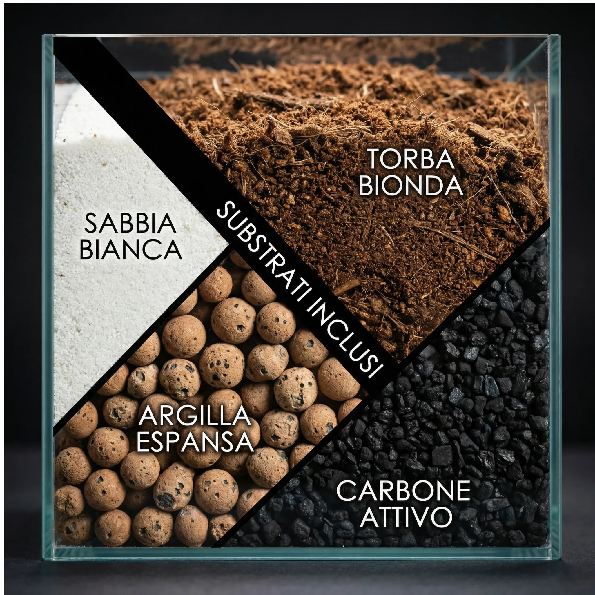 Kit per terrarium fai da con piantine senza contenitore