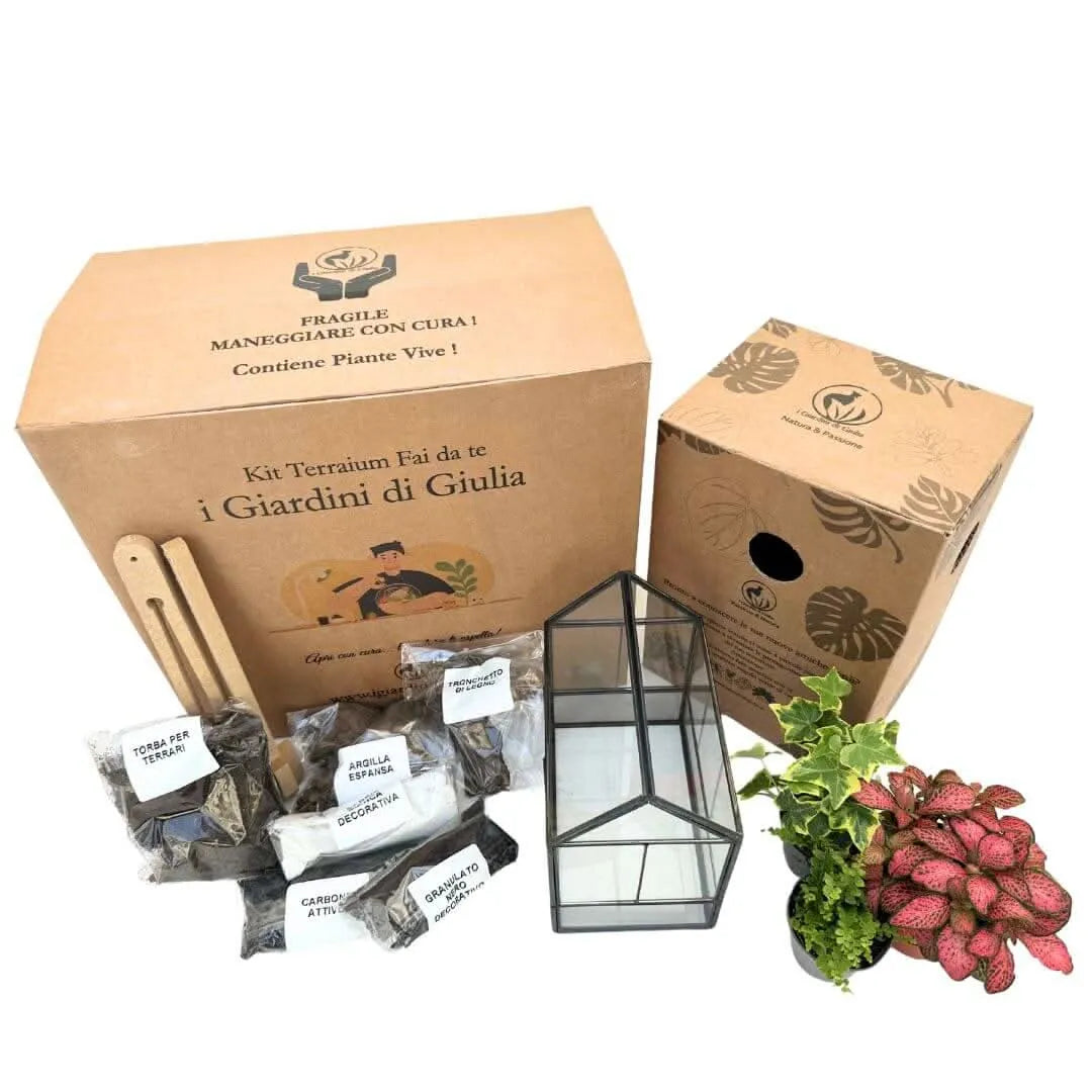 Kit Terrarium Geometrico Fai Da Te Monica | Crea il Tuo Giardino da Interno