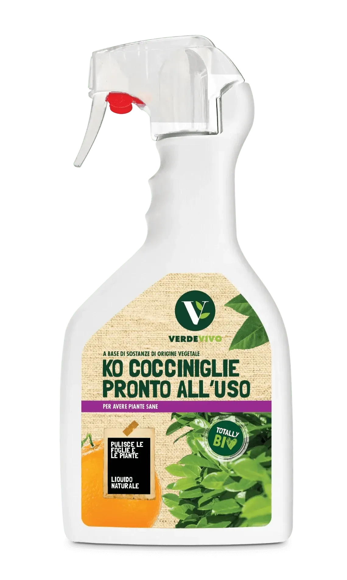 KO-COCCINIGLIA FL. 750 ML
