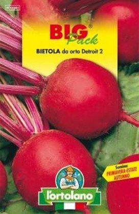 Bietola rossa Detroit 2 semi da orto